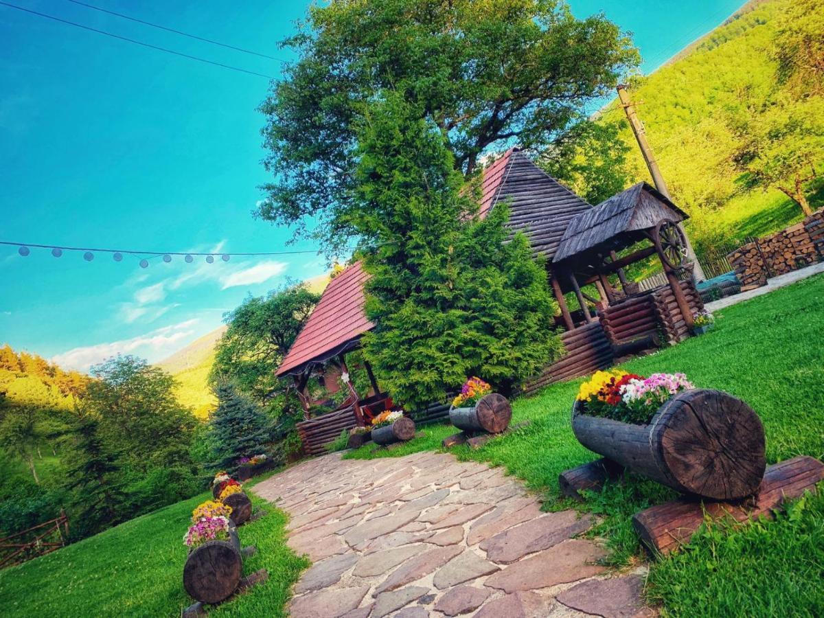 Cabana Valea Sadului Rau Sadului Bagian luar foto