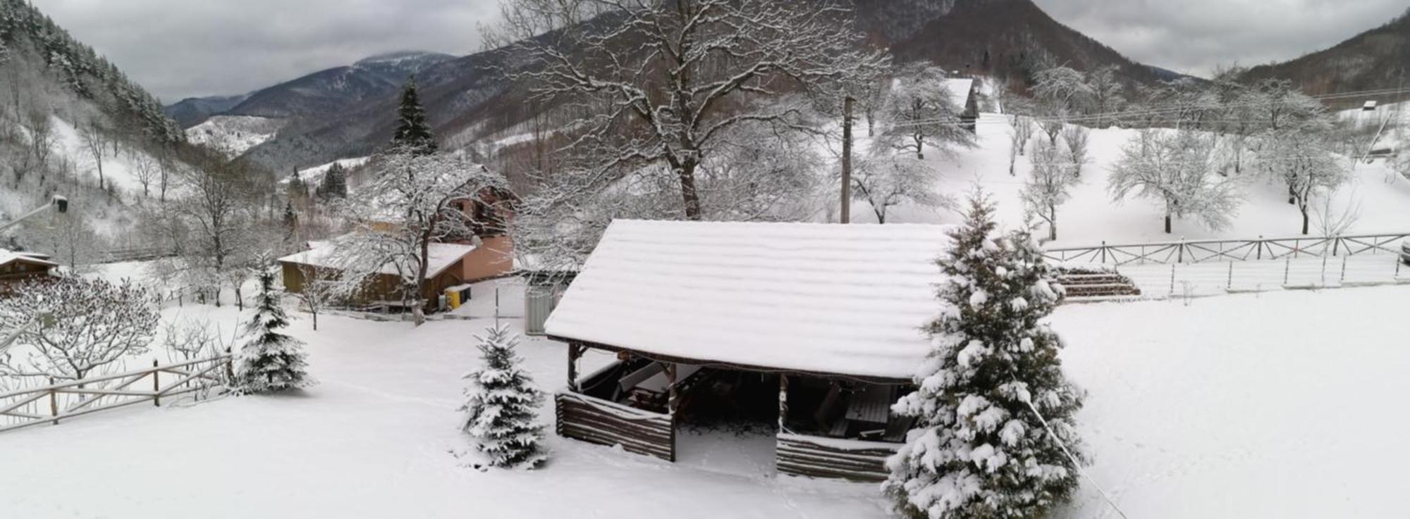 Cabana Valea Sadului Rau Sadului Bagian luar foto